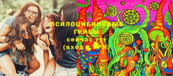 соль ск Бежецк