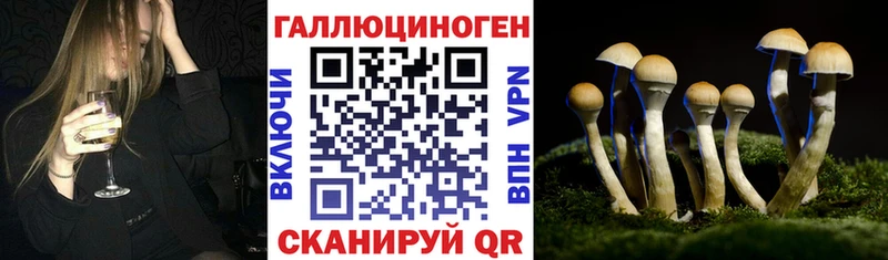 Псилоцибиновые грибы Cubensis  Анапа 