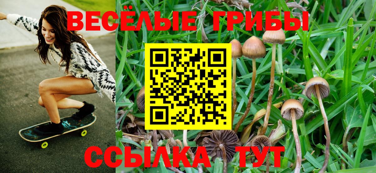 Галлюциногенные грибы ЛСД Анапа